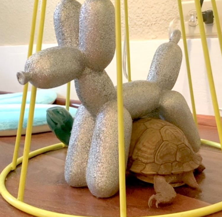 box turtle balloon dog