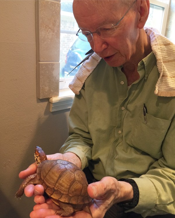 Grandpa holds rescued box turtle