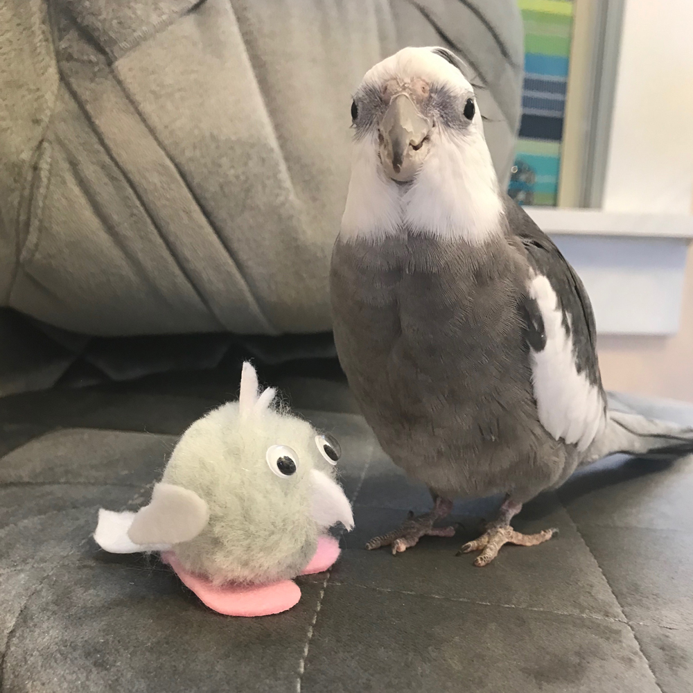 Pearl with Mini Me