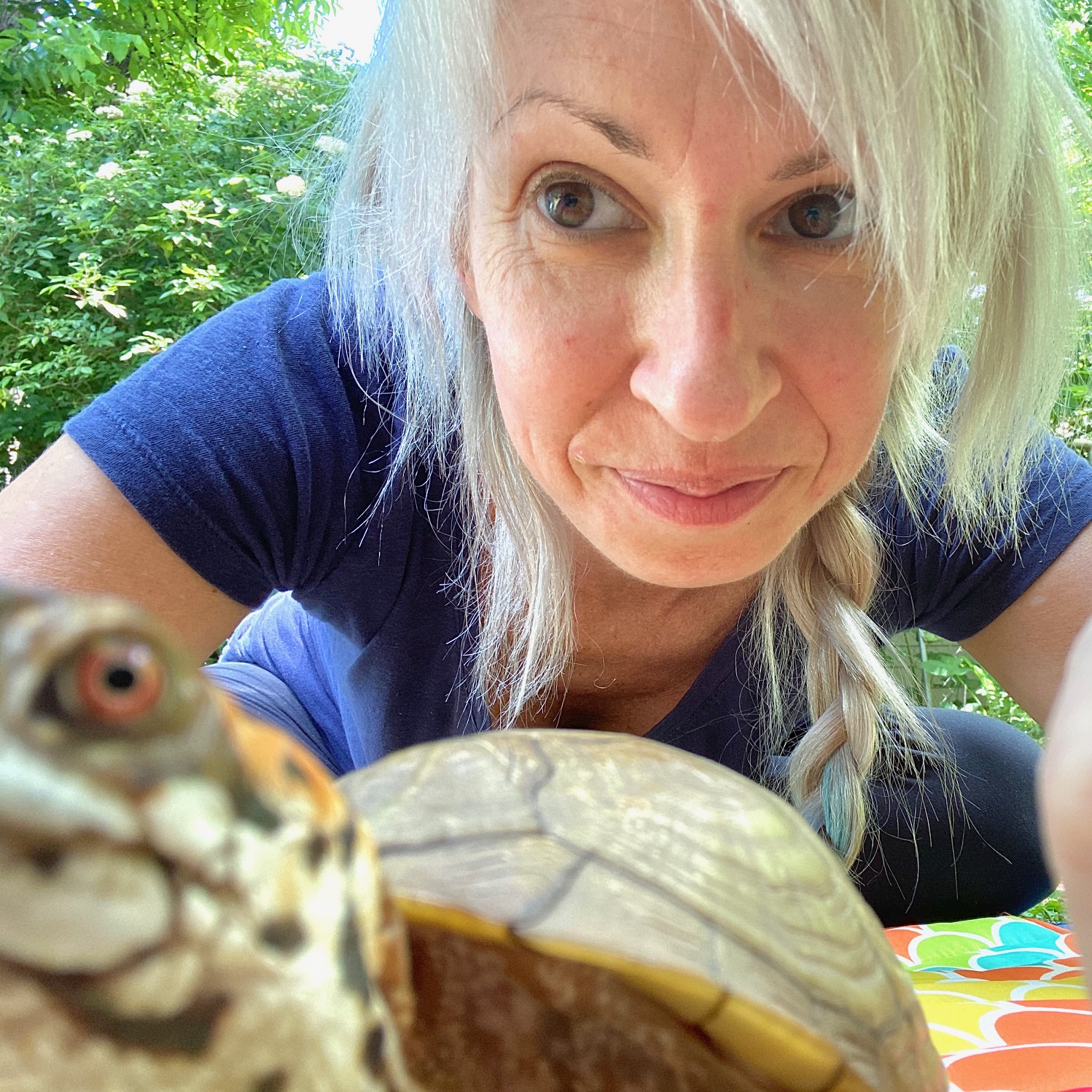 rescued box turtle with rescue mom