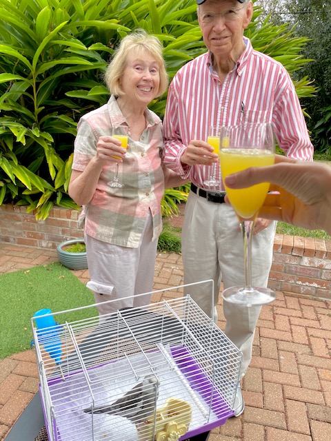cockatiel with his featherless flock