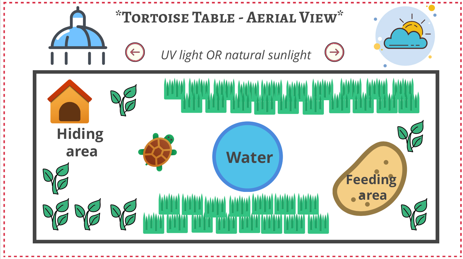 tortoise table aerial layout